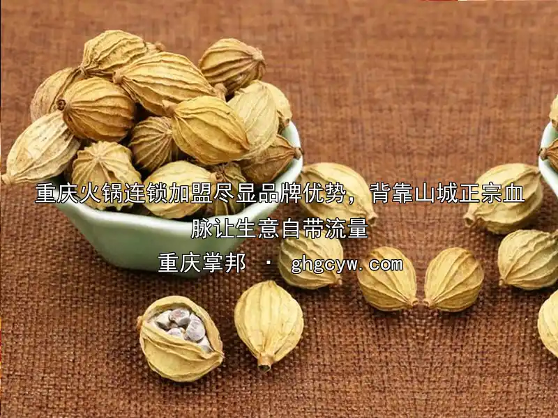 重庆火锅连锁加盟尽显品牌优势，背靠山城正宗血脉让生意自带流量