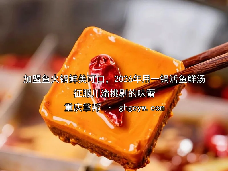 加盟鱼火锅鲜美可口，2026年用一锅活鱼鲜汤征服川渝挑剔的味蕾