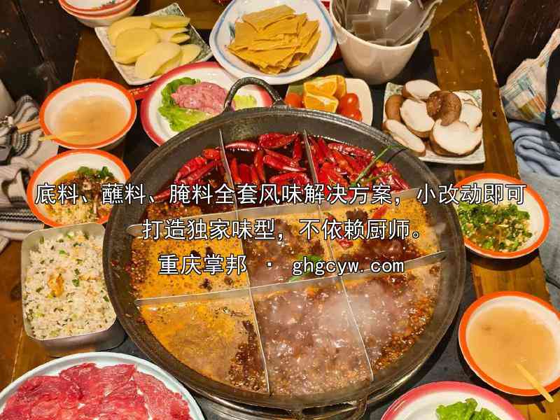 底料、蘸料、腌料全套风味解决方案，小改动即可打造独家味型，不依赖厨师。