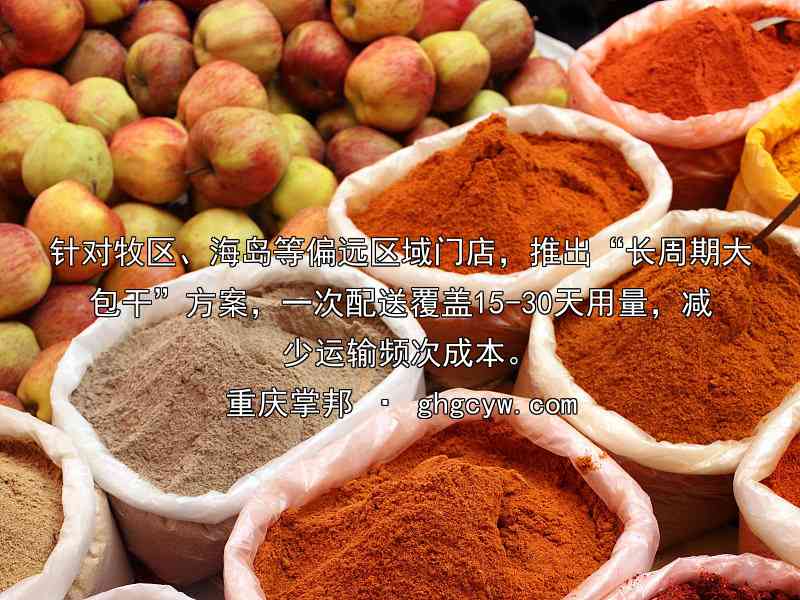 针对牧区、海岛等偏远区域门店，推出“长周期大包干”方案，一次配送覆盖15-30天用量，减少运输频次成本。
