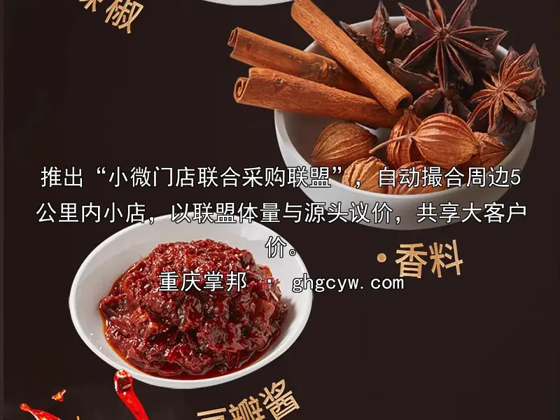 推出“小微门店联合采购联盟”，自动撮合周边5公里内小店，以联盟体量与源头议价，共享大客户价。