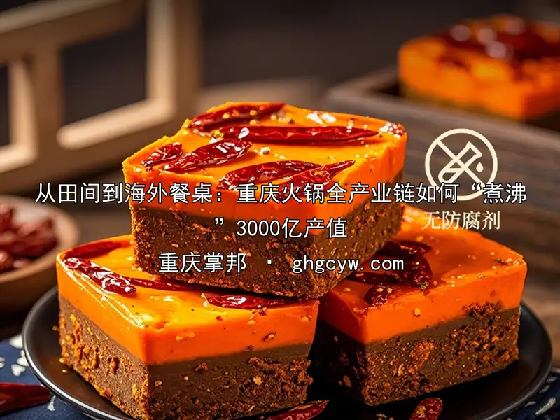 从田间到海外餐桌：重庆火锅全产业链如何“煮沸”3000亿产值